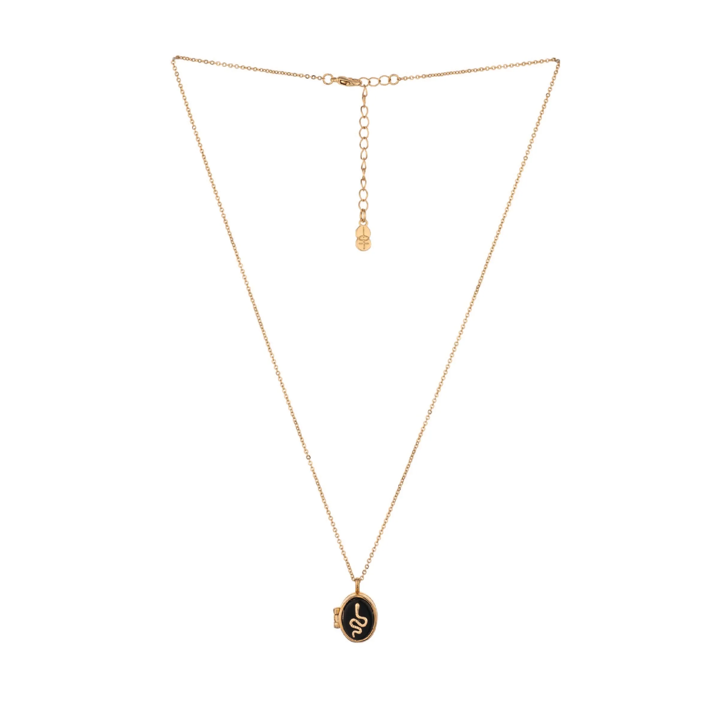 Charged Onyx Locket Necklace